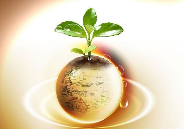 美联储政策分化推升欧元，欧洲央行内部意见不一